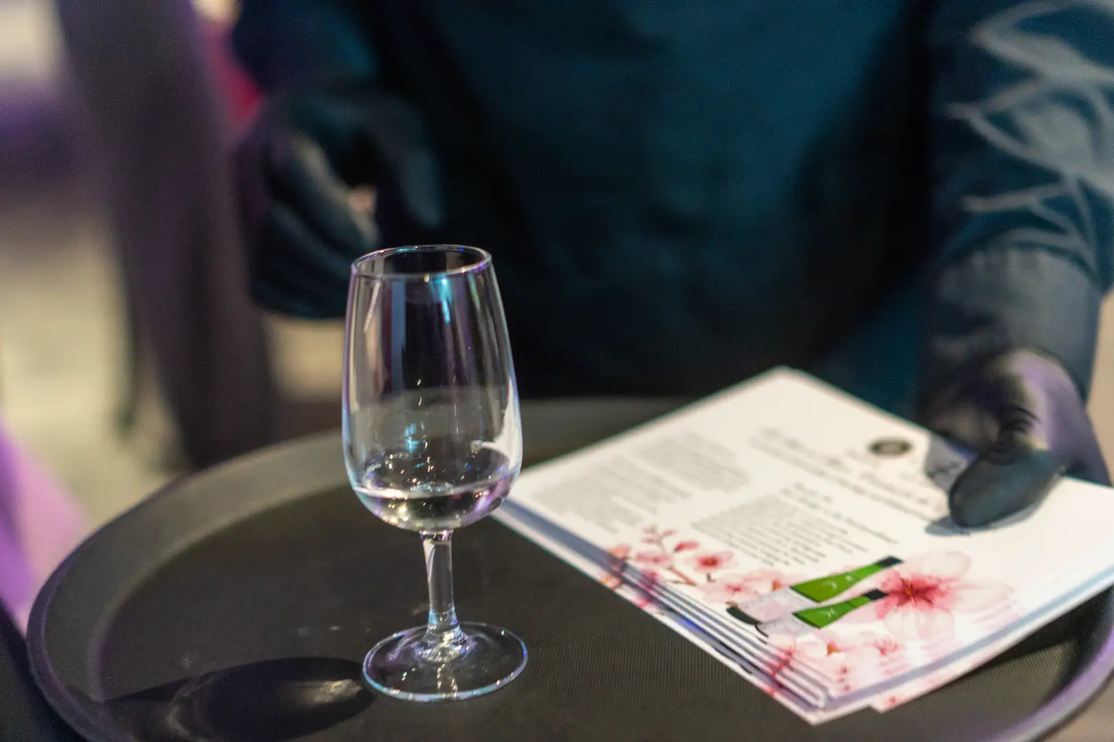 11th Sakura Festival Launch at Gardens by the Bay with Popular Mi - Seto Suzho Sake Gallery